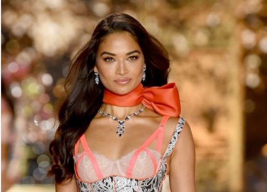 Bu yıl Victoria’s Secret şovu yok!